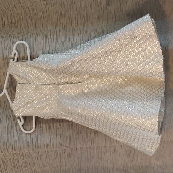 Gymboree 12-18mths Sparkly Fancy Dress - Picture 3 of 6